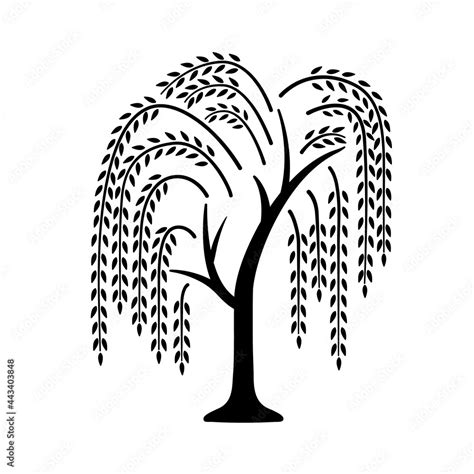 Willow tree. Black icon with tree. Vector illustration isolated on ...