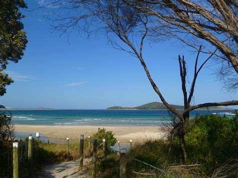 Fingal Bay Beach - 2021 All You Need to Know BEFORE You Go (with Photos ...