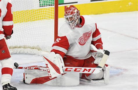 Detroit Red Wings Victorious in Raleigh to end losing skid