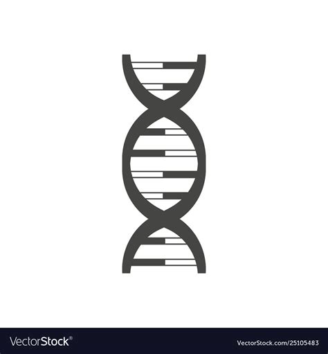 Dna helix logo design isolated on white Royalty Free Vector