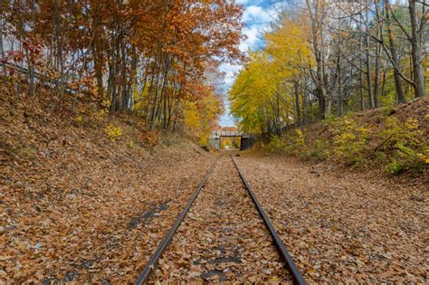 Catch Some Fall Foliage on These Beautiful Train Rides Across the U.S.