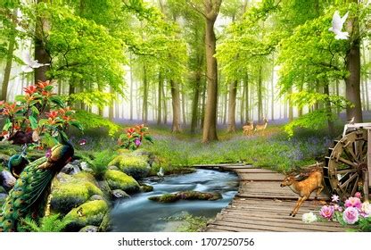 16,536,169 Nature Wallpaper Images, Stock Photos, 3D objects, & Vectors | Shutterstock