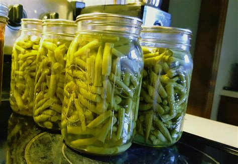 Mini Slice of Farm: Canning green beans the easy way!