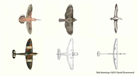 9 Types of Aircraft Wings in Depth - Aero Corner