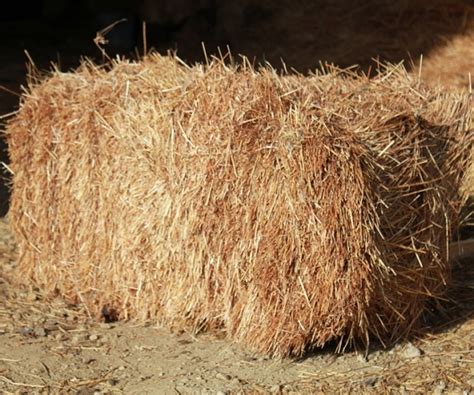 Straw Mulch - Small Bale