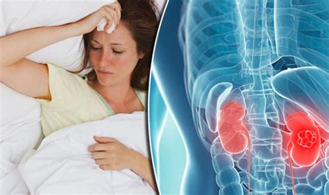 Kidney infection symptoms - seven signs YOU could be at risk | Health | Life & Style | Express.co.uk