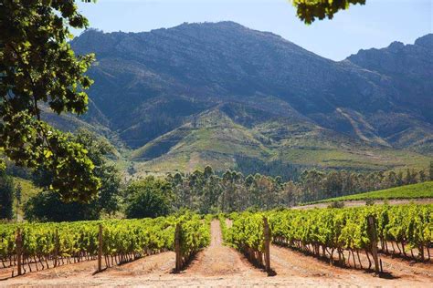 Exclusive Cape Town wine tasting tours in the Cape Winelands, South Africa