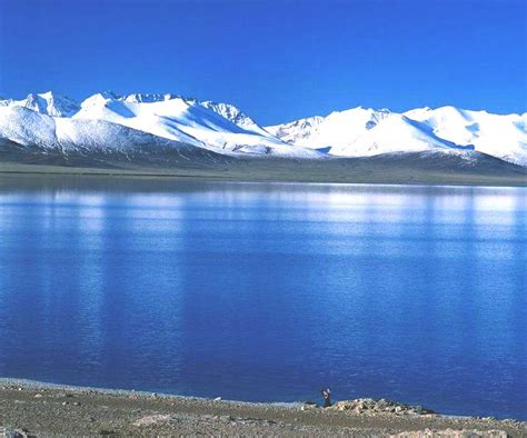 Qinghai Lake - Must See Attraction | WindhorseTour – China Tibet Travel ...