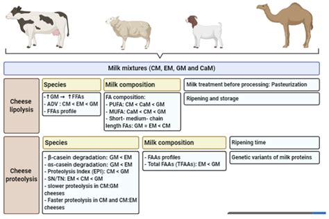 is full fat milk homogeneous or heterogeneous