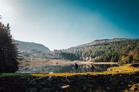 Natural Resources Wales / Beddgelert Forest, near Beddgelert