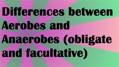 Biology Differences between Aerobes and Anaerobes (obligate and facultative) - YouTube