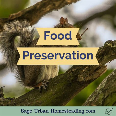 Freezing Food as a Food Preservation Method, Pros and Cons