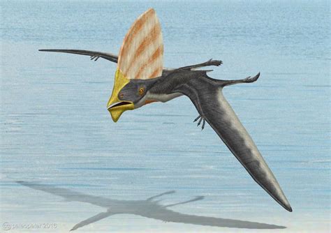 Tupandactylus imperator by paleopeter on DeviantArt | Prehistoric ...