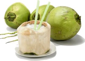 Download fresh coconut - kelapa muda png - Free PNG Images | TOPpng