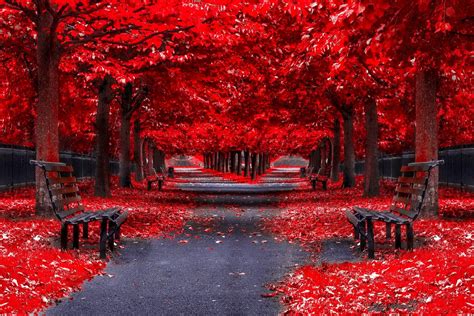 «fall computer backgrounds» 1080P, 2k, 4k Full HD Wallpapers ...