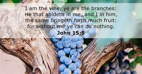 February 7, 2024 - Bible verse of the day (KJV) - John 15:5 - DailyVerses.net