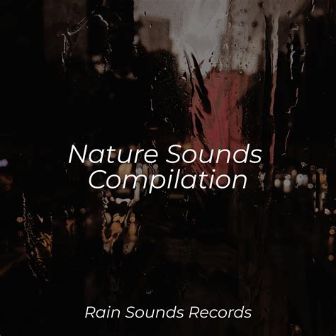 Nature Sounds Compilation - Sleep Sound Library - 专辑 - 网易云音乐