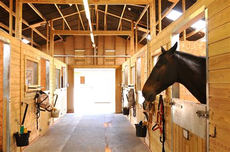 How Much Does It Cost To Buy A Horse Barn at Susan Proto blog