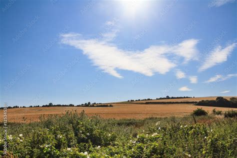 Sussex Countryside Stock Photo | Adobe Stock