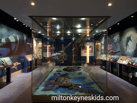 Peterborough Museum - a completely FREE day out - Milton Keynes Kids