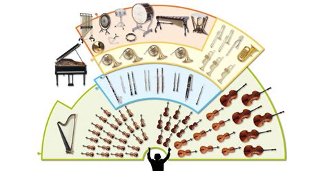 Musical Instruments Of The Orchestra