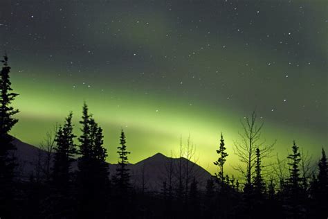 Northern Lights Brighten a Dark Alaskan Winter in Denali National Park