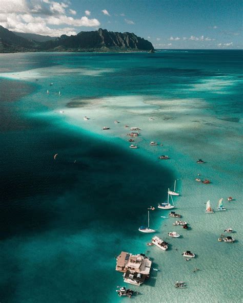 Kaneohe Bay Sandbar with Shanger Danger | Kaneohe, Moving to hawaii ...