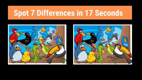 Spot the Difference: Can you spot 7 differences between the two bird images in 17 seconds?