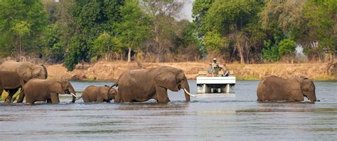 Classic Zimbabwe Safari Package: Hwange and Mana Pools - Africa Endeavours