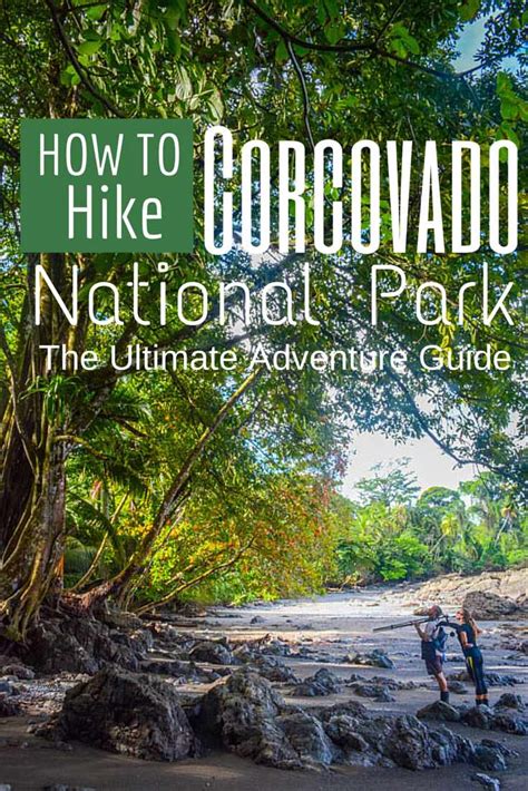 How To Hike Corcovado National Park: The Ultimate Jungle Adventure