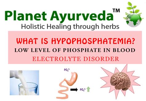 What is Hypophosphatemia?,Low Level of Phosphate in Blood