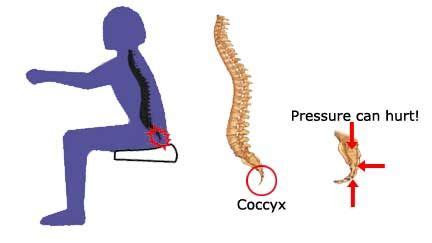 The pain and discomfort that arises in coccydynia is due to damage ...