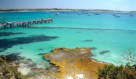 Kangaroo Island - Australian Traveller