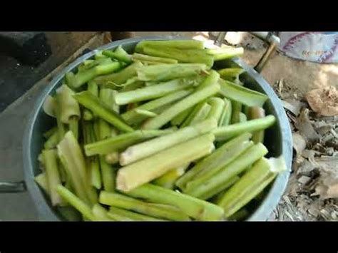 gulay na gabi yummy😋 - YouTube