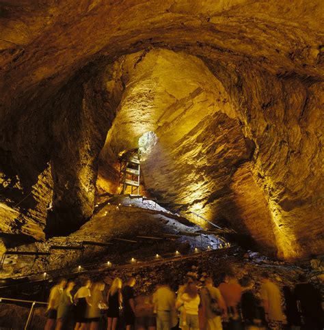 Southern Missouri Caves | Southern Missouri Caverns