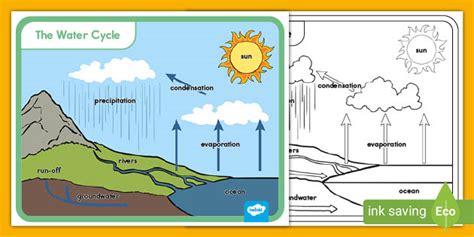 Water Cycle Poster - Elementary Science Resources - Twinkl