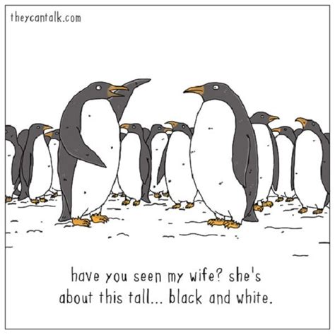 Funny - Animal - Cartoons | Funny animal comics, Penguins funny, Best funny pictures