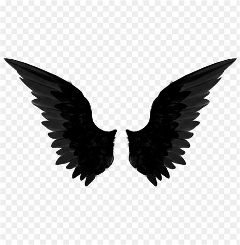 Black Wings Clipart Png Photo - 26698 | TOPpng