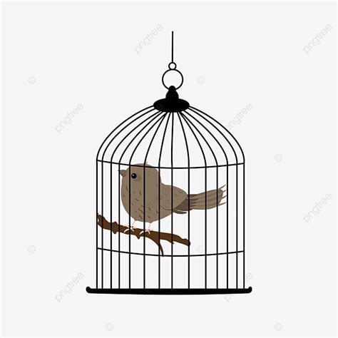 Open Bird Cage Vector Design Images, Caged Bird Bird Cage Cute Bird Branch, Bird, Cage, Lovely ...