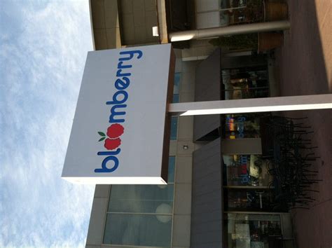 Bloomberry Frozen Yogurt Offers a 'Mom Approved' Treat | Rochester, MI Patch