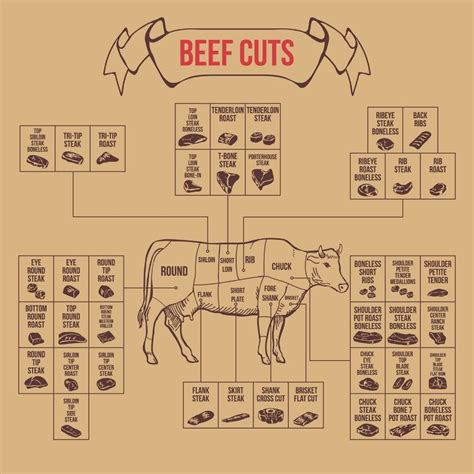 Beef Cuts On A Cow: A Guide For Home Butchering