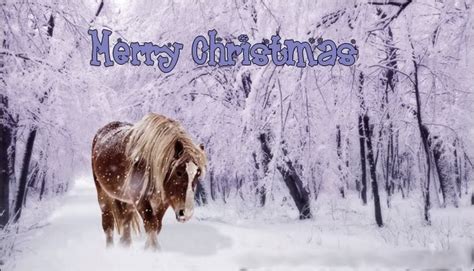 Free Christmas Desktop Wallpapers: Christmas Horse Desktop Wallpapers