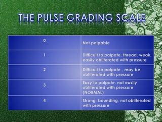 The Pulse and Deep Tendon Reflex Grading Scale