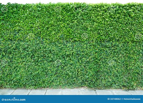 Decorative Garden on a Brick Fence and Floor Stock Photo - Image of ...