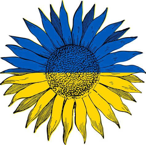 Download Sunflower, Ukraine, Ukraine Flag. Royalty-Free Vector Graphic ...