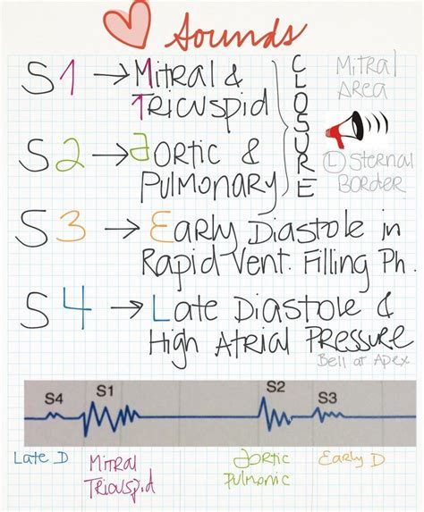 My Notes for USMLE | Nursing school notes, Nursing school survival, Nursing school studying