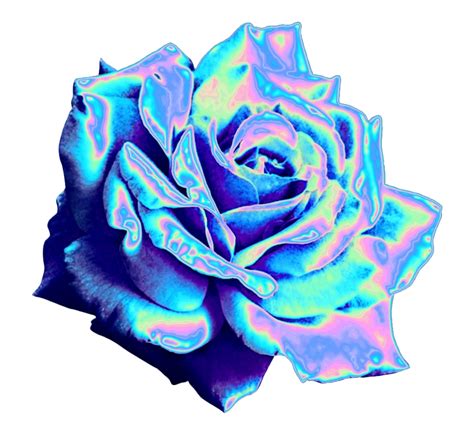 Aesthetic Flower PNG Free Image | PNG All