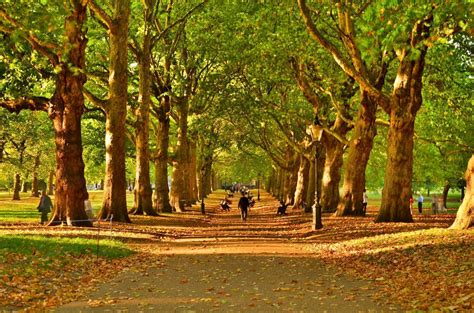 Viaje a Londres: Qué ver, qué hacer, qué comer. Todos los consejos para la escapada perfecta.