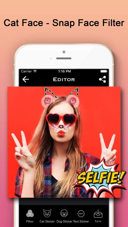 Cat Face - Snap Face Filter by Samantha Grantham