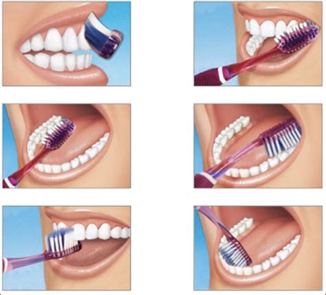 Different Methods and Steps – Proper Tooth Brushing Techniques